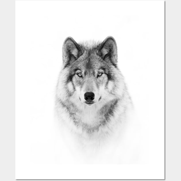 Timber Wolf Portrait Wall Art by Jim Cumming